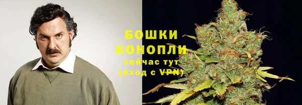 ешки Дмитровск