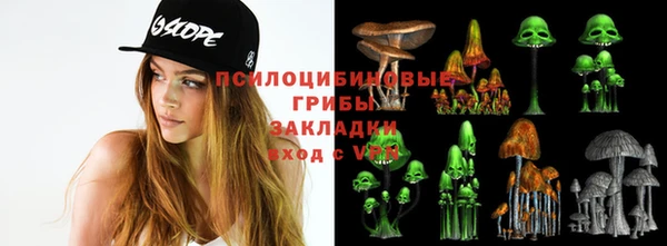 дурь Гусев