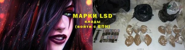 соль ск Дмитриев