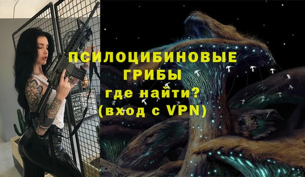 2c-b Гусь-Хрустальный