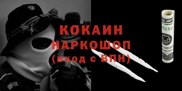 дурь Гусев