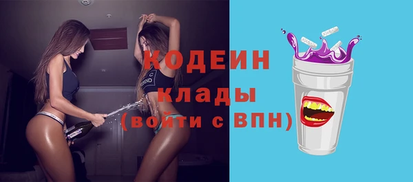 дурь Гусев