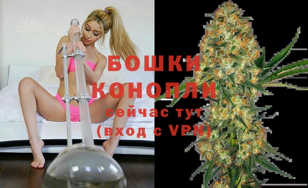 дурь Гусев