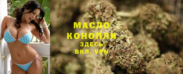 соль ск Дмитриев