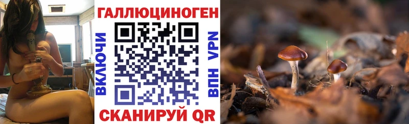 как найти блэк спрут сайт Псилоцибиновые грибы ЛСД Николаевск